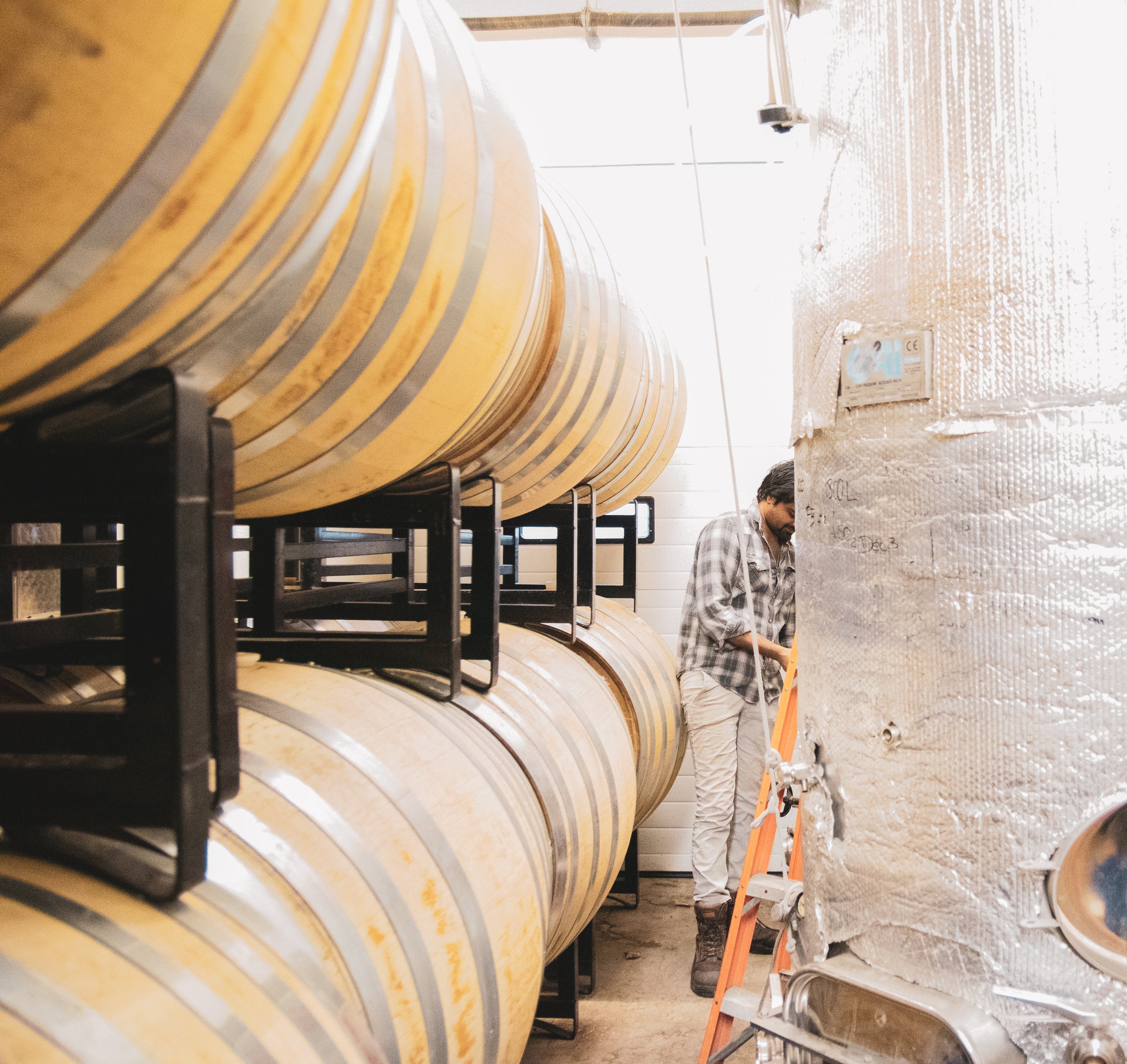 Winemaker Ajay Chavan in the cellar