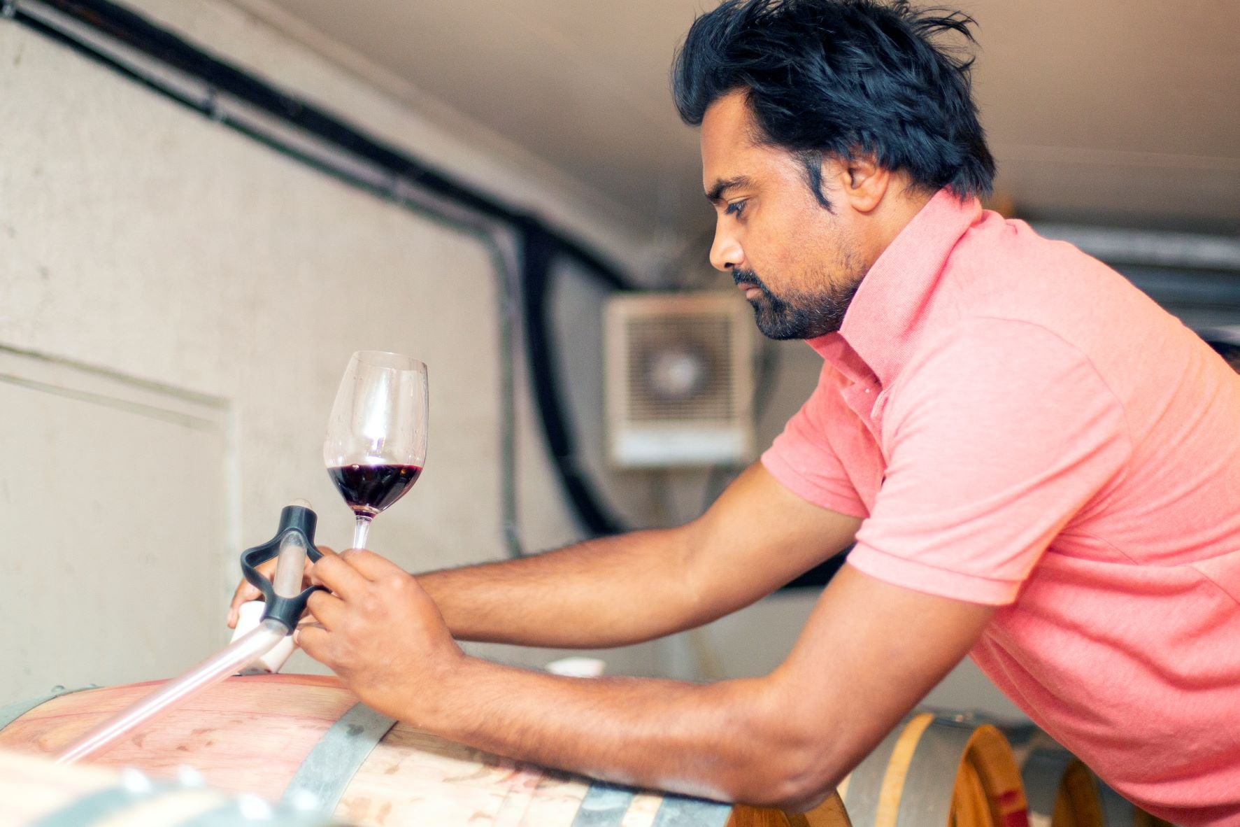 Winemaker Ajay Chavan in the cellar tasting Merlot from a barrel