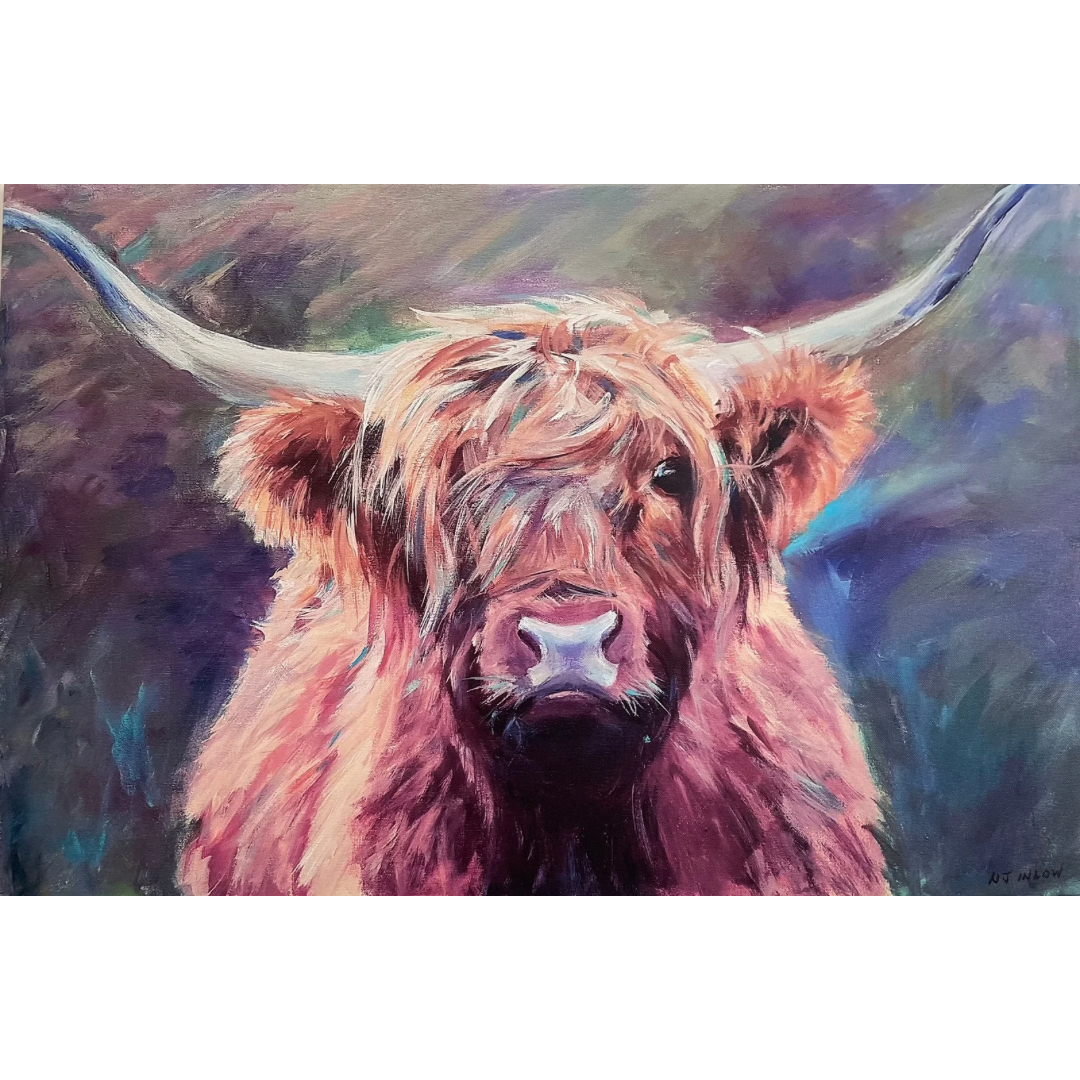 Highland Cow by Nancy Inlow