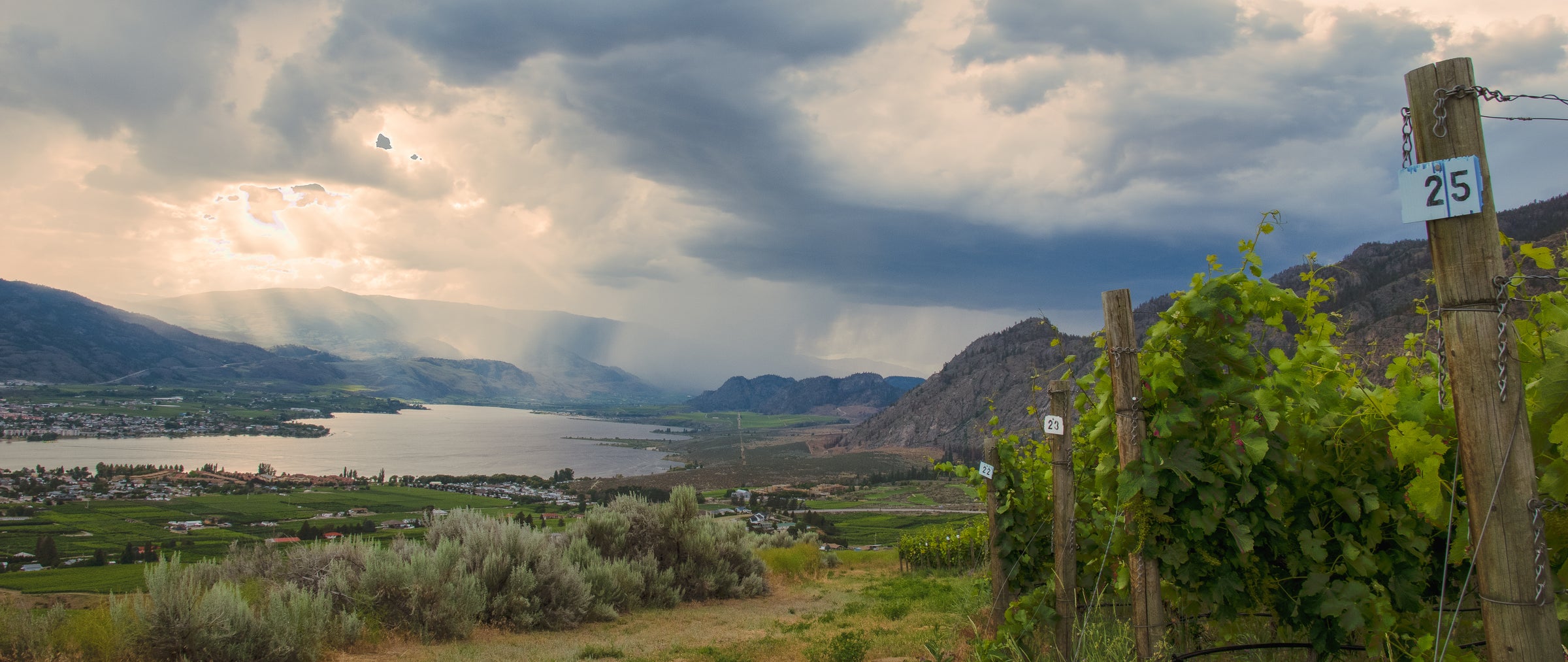 Views of Anarchist Mountain Vineyard in Osoyoos, BC